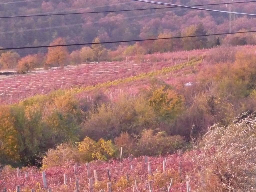 Rozina Vacation House Pliskovica 外观 照片