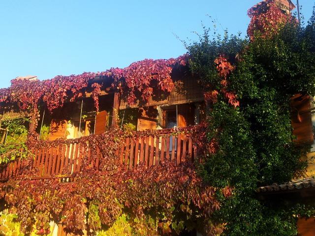 Rozina Vacation House Pliskovica 外观 照片